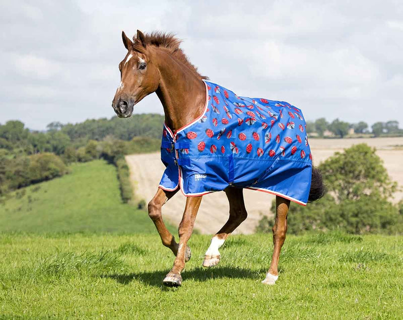 Shires Tempest Original 200 Turnout Blanket