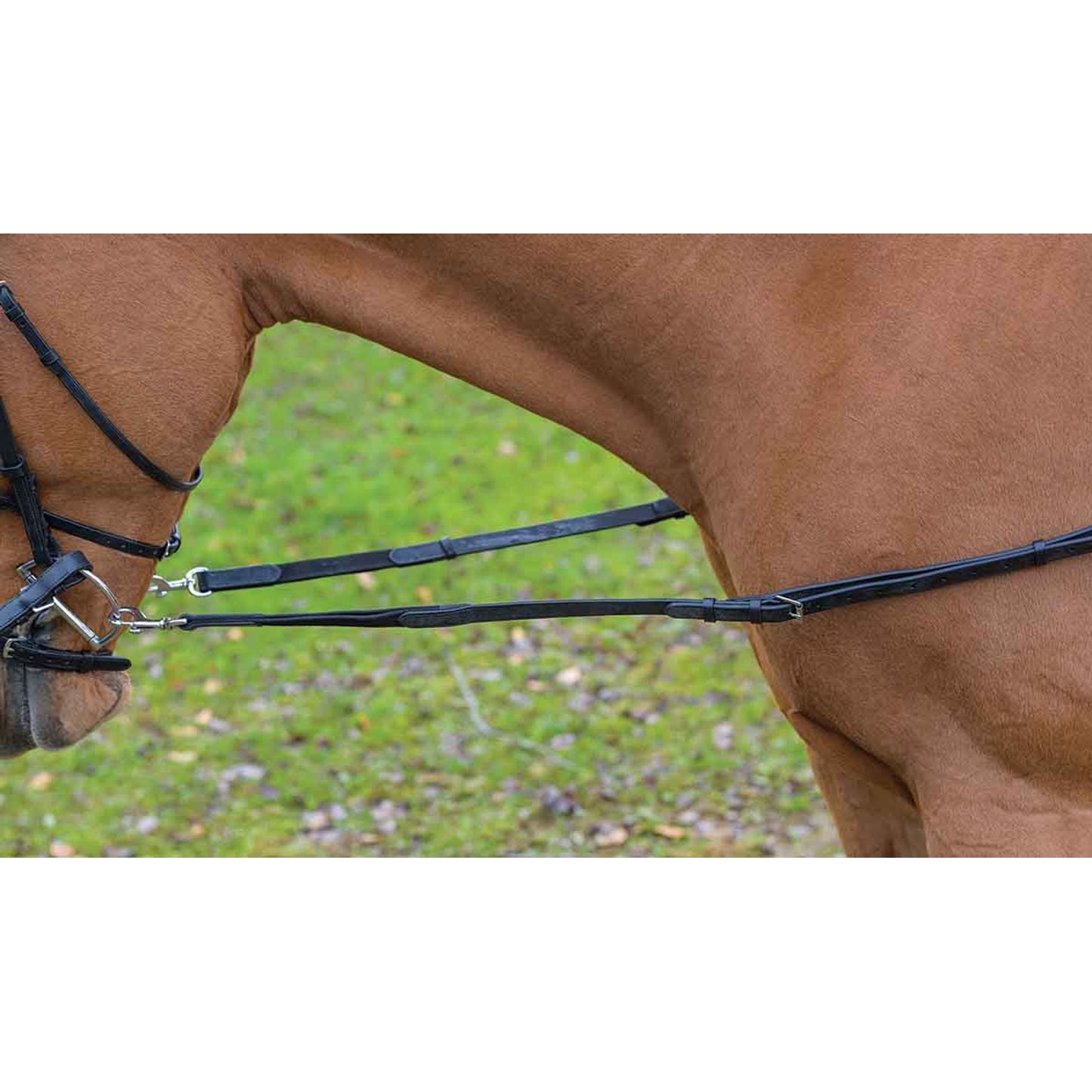 5-950043-whorse.jpg