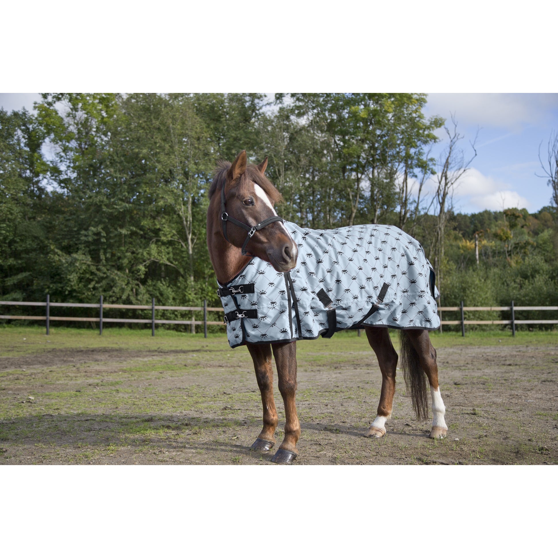 Horze Pony Turnout Blanket
