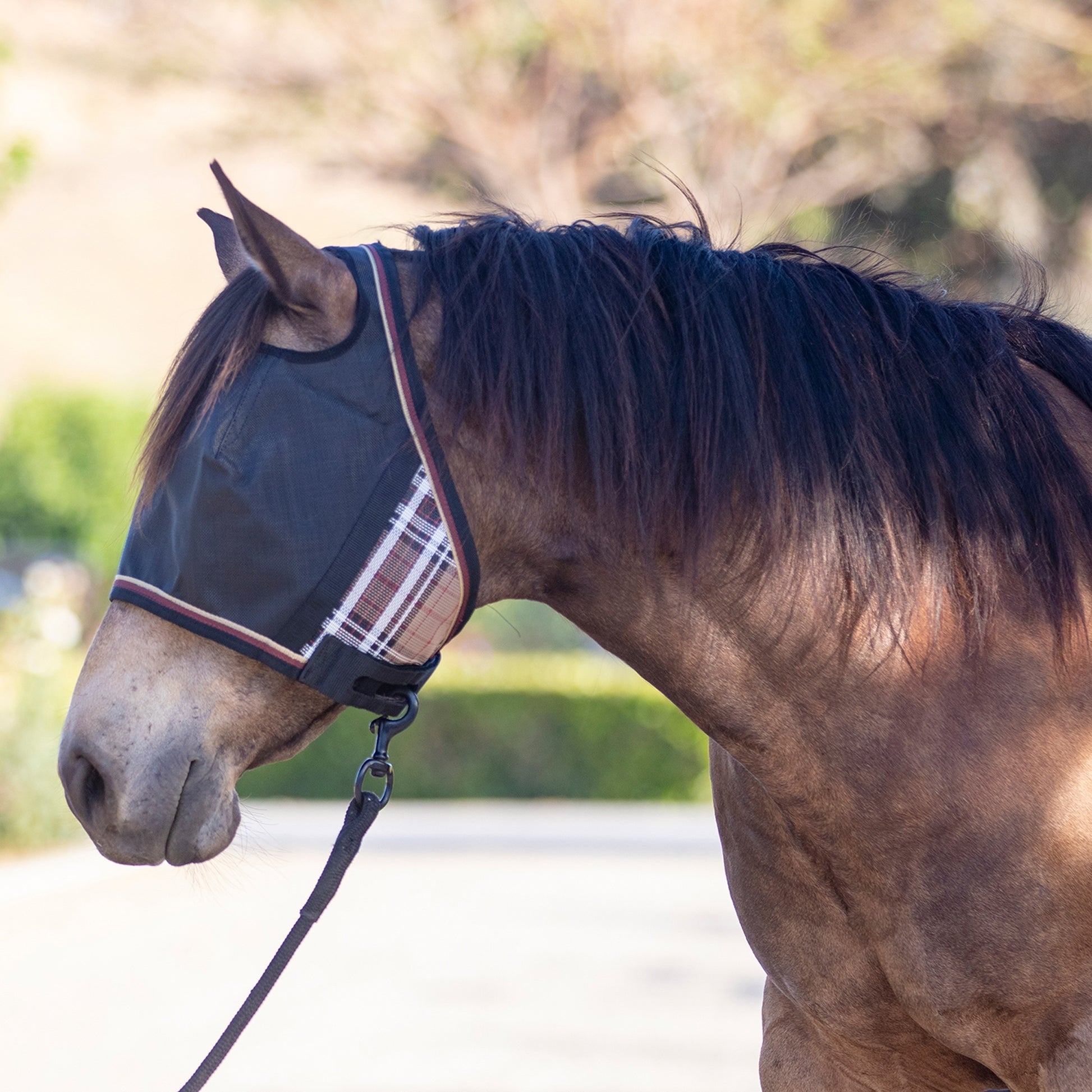 Kensington UV Open Top CatchMask Fly Mask