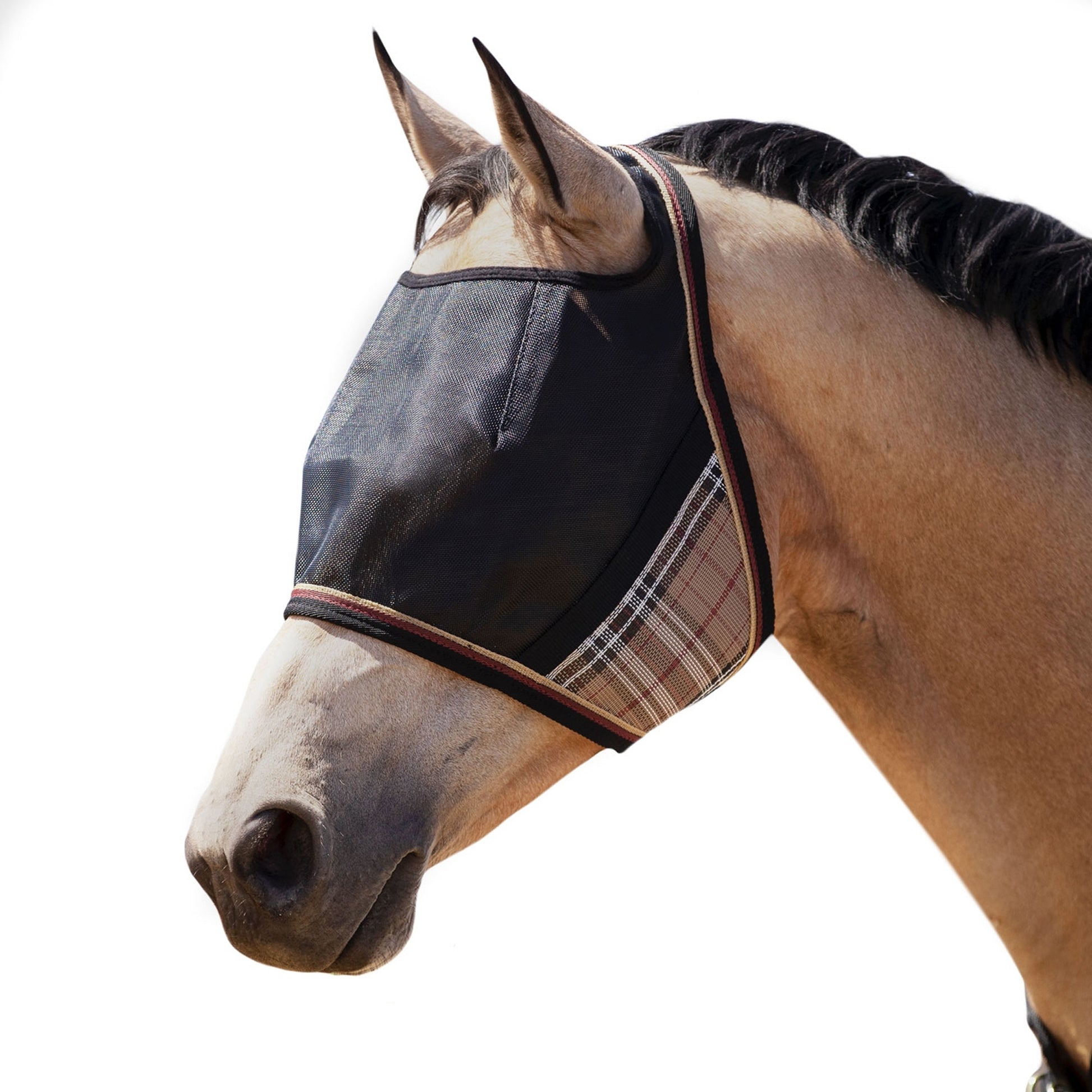 Kensington UV Open Top CatchMask Fly Mask