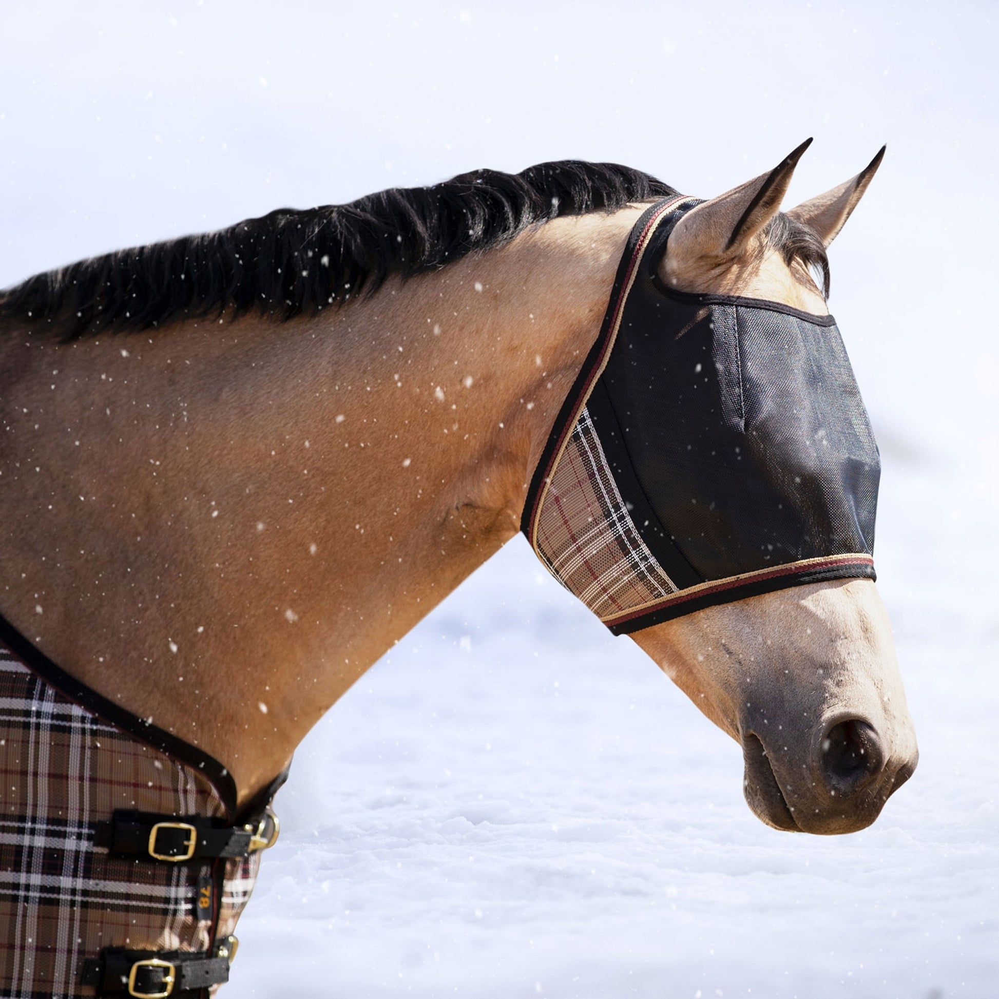 Kensington UV Open Top CatchMask Fly Mask