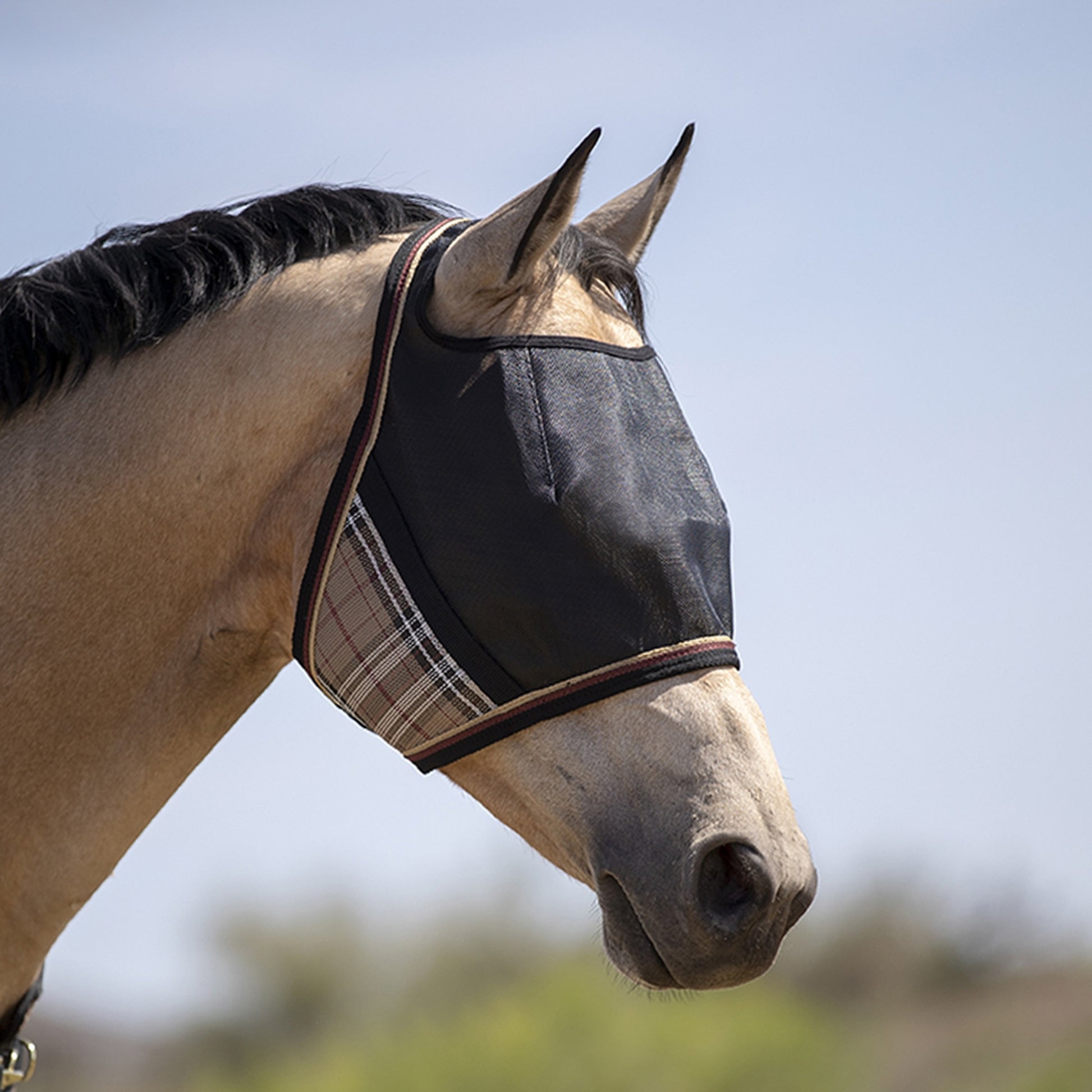 Kensington UV Open Top CatchMask Fly Mask