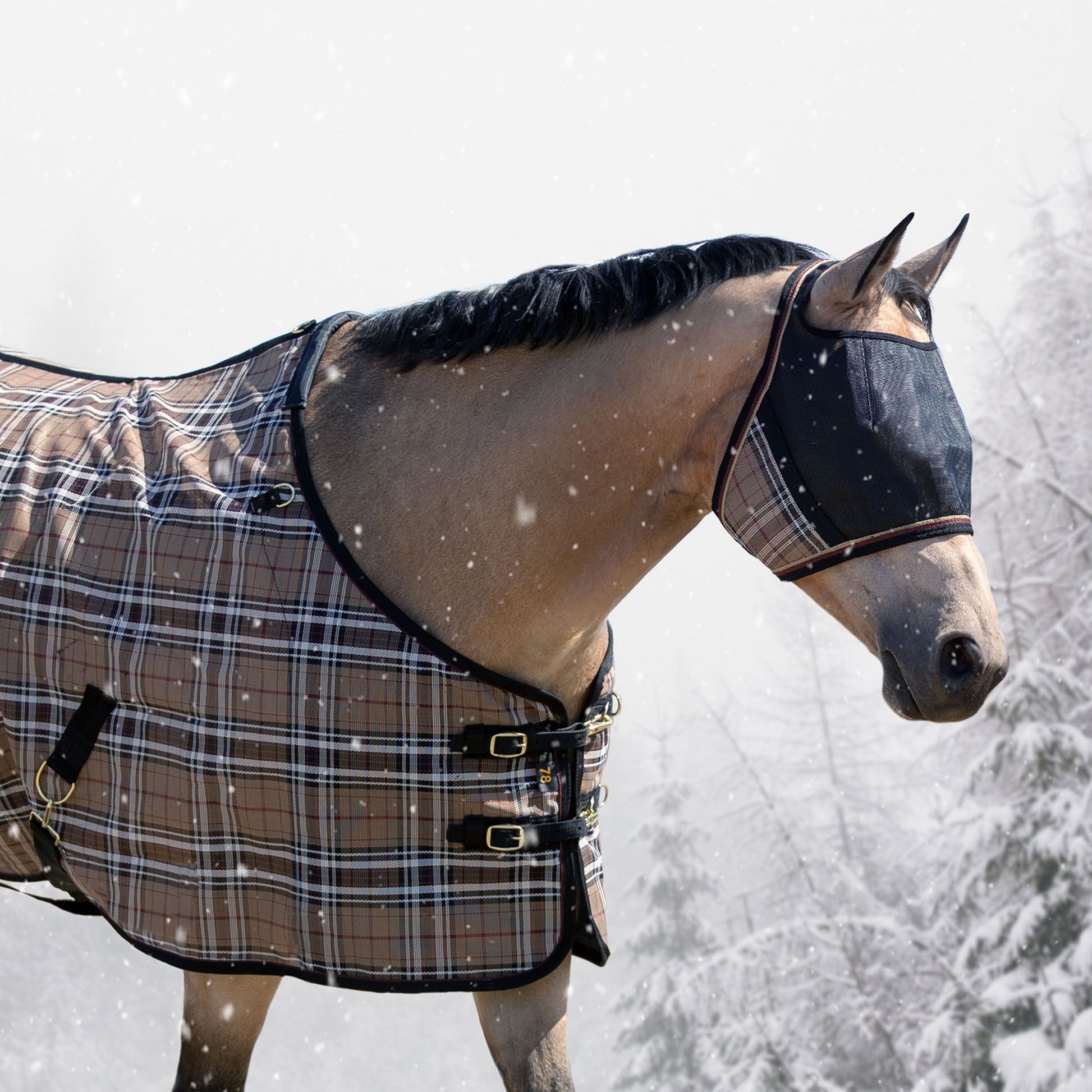 Kensington UV Open Top CatchMask Fly Mask