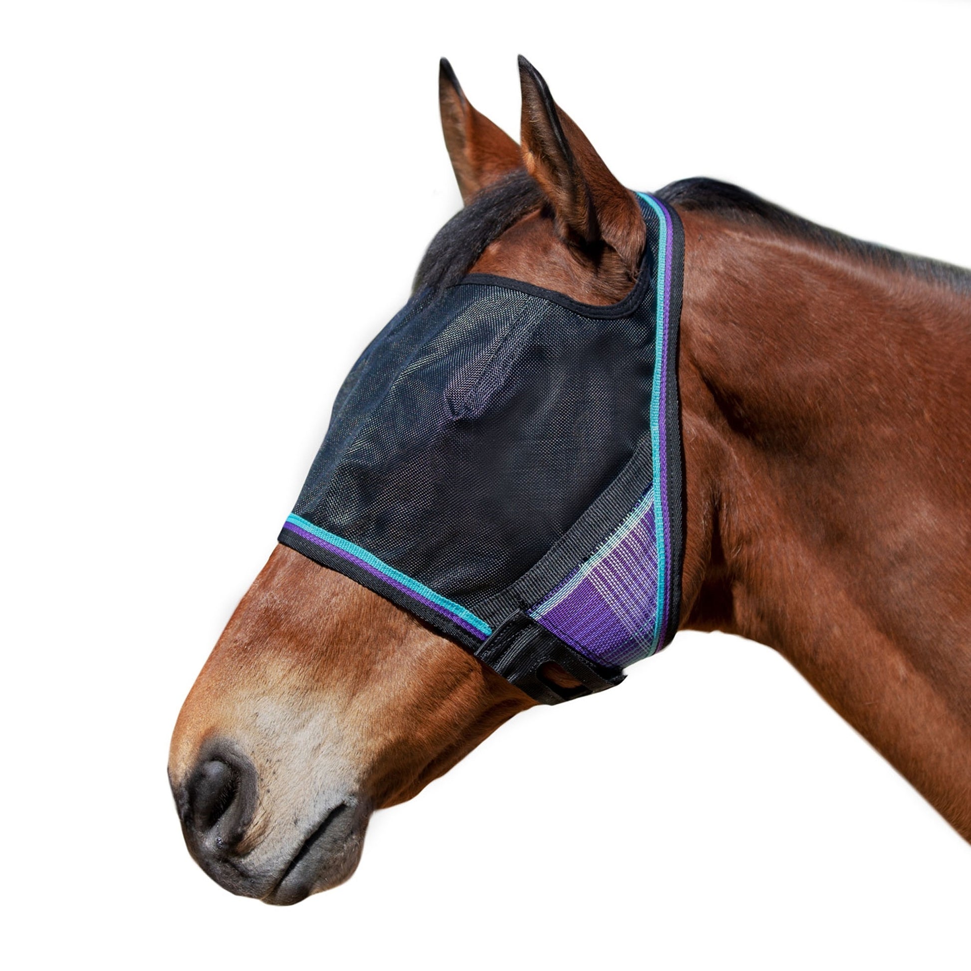 Kensington UV Open Top CatchMask Fly Mask