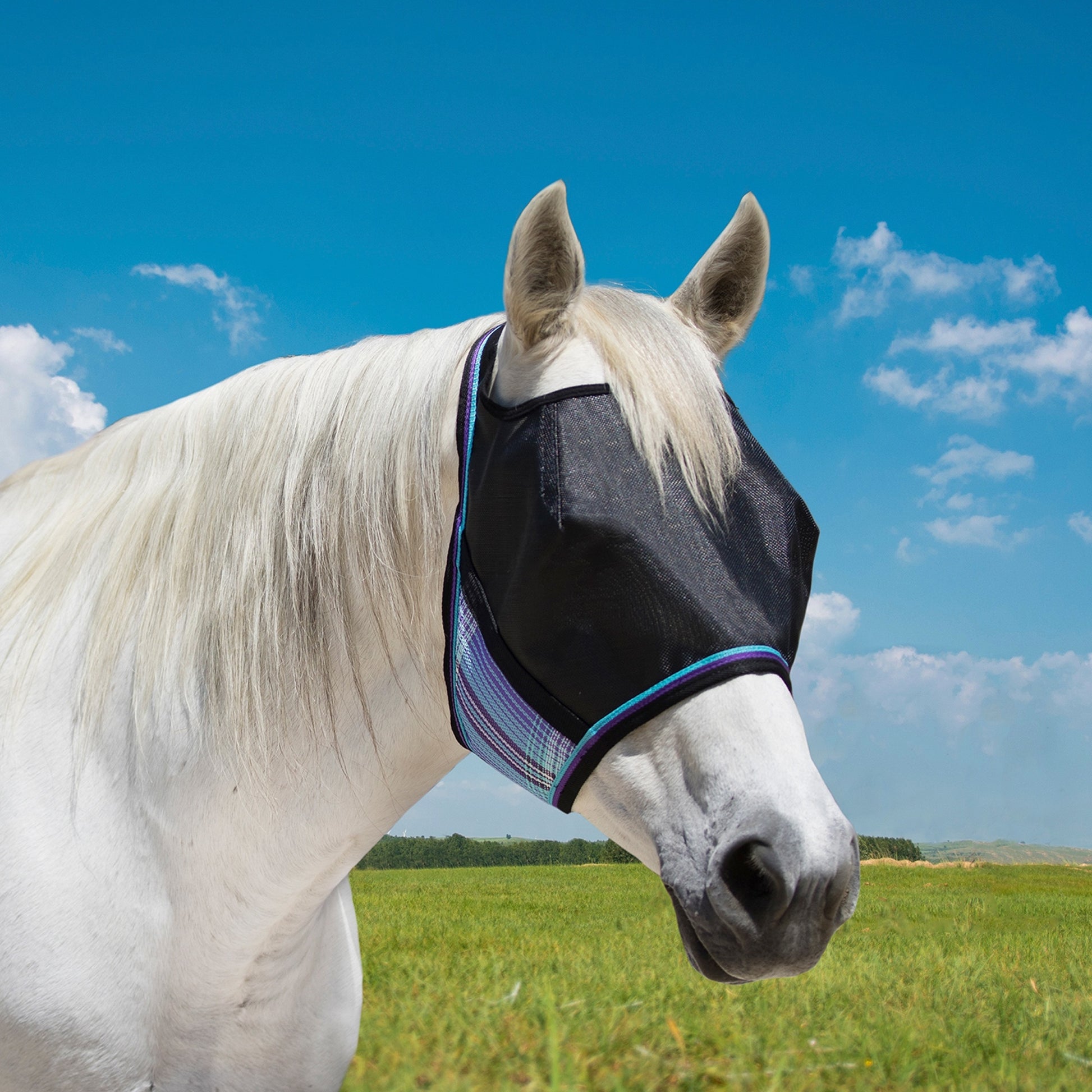 Kensington UV Open Top CatchMask Fly Mask