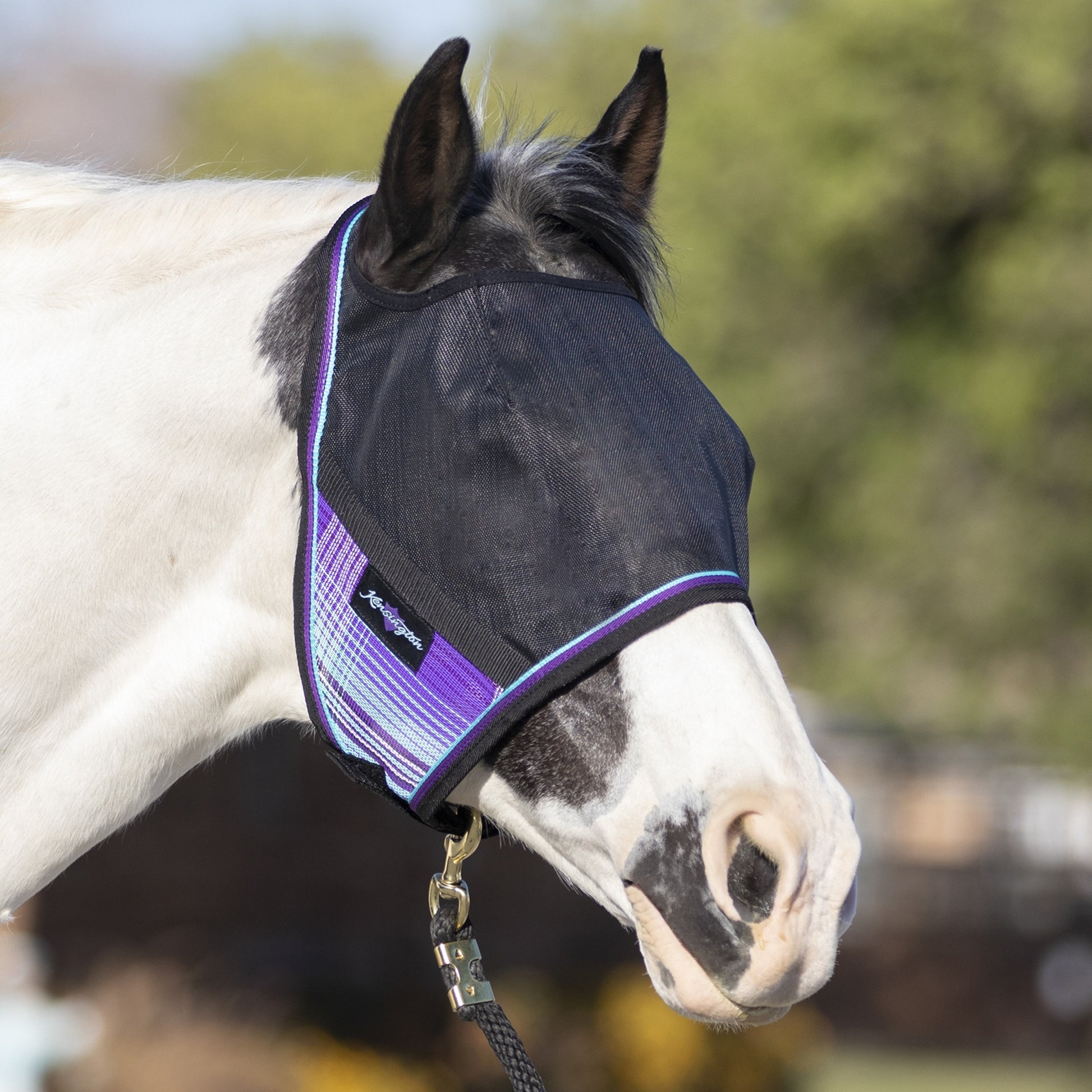 Kensington UV Open Top CatchMask Fly Mask