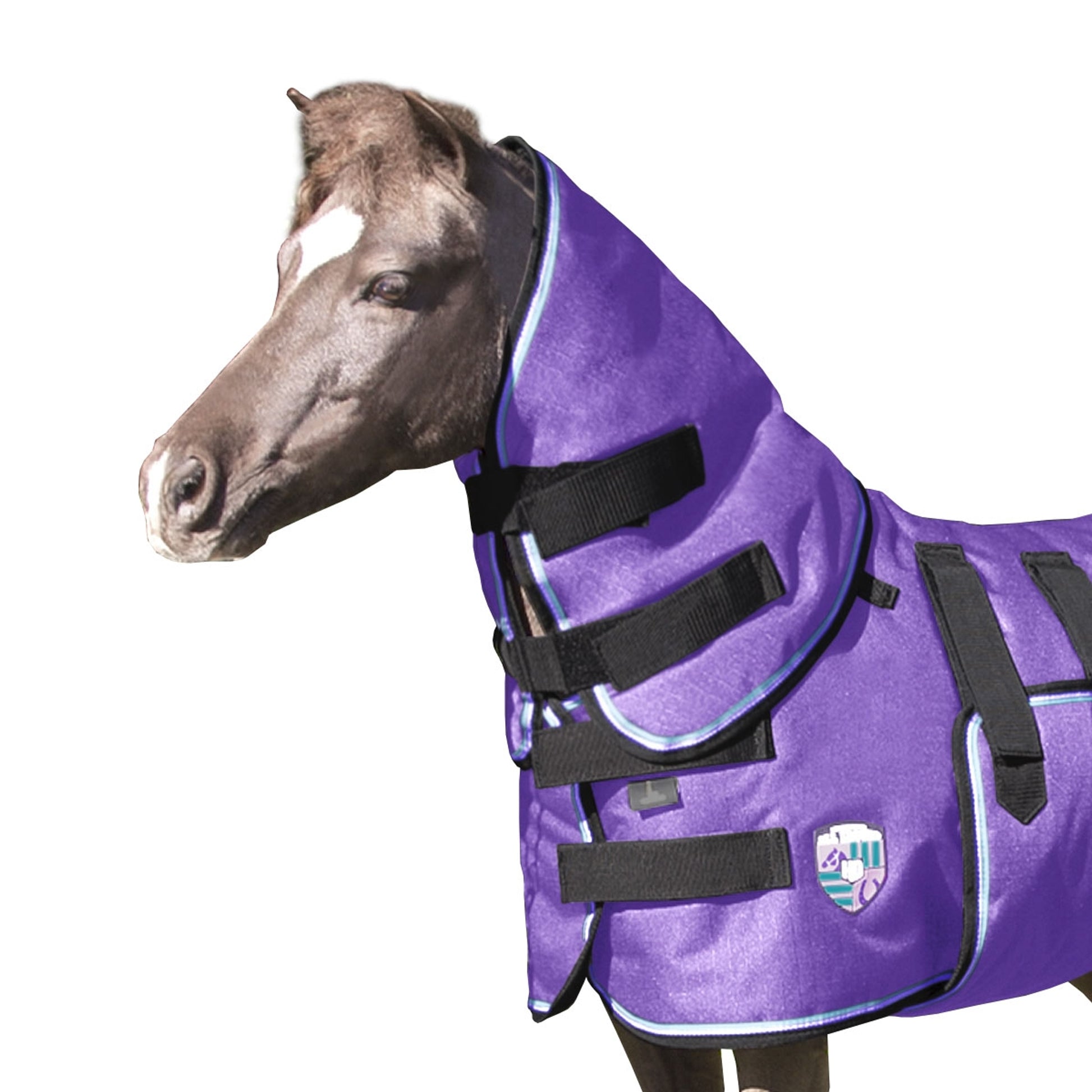 Kensington All Around Neck Warmer