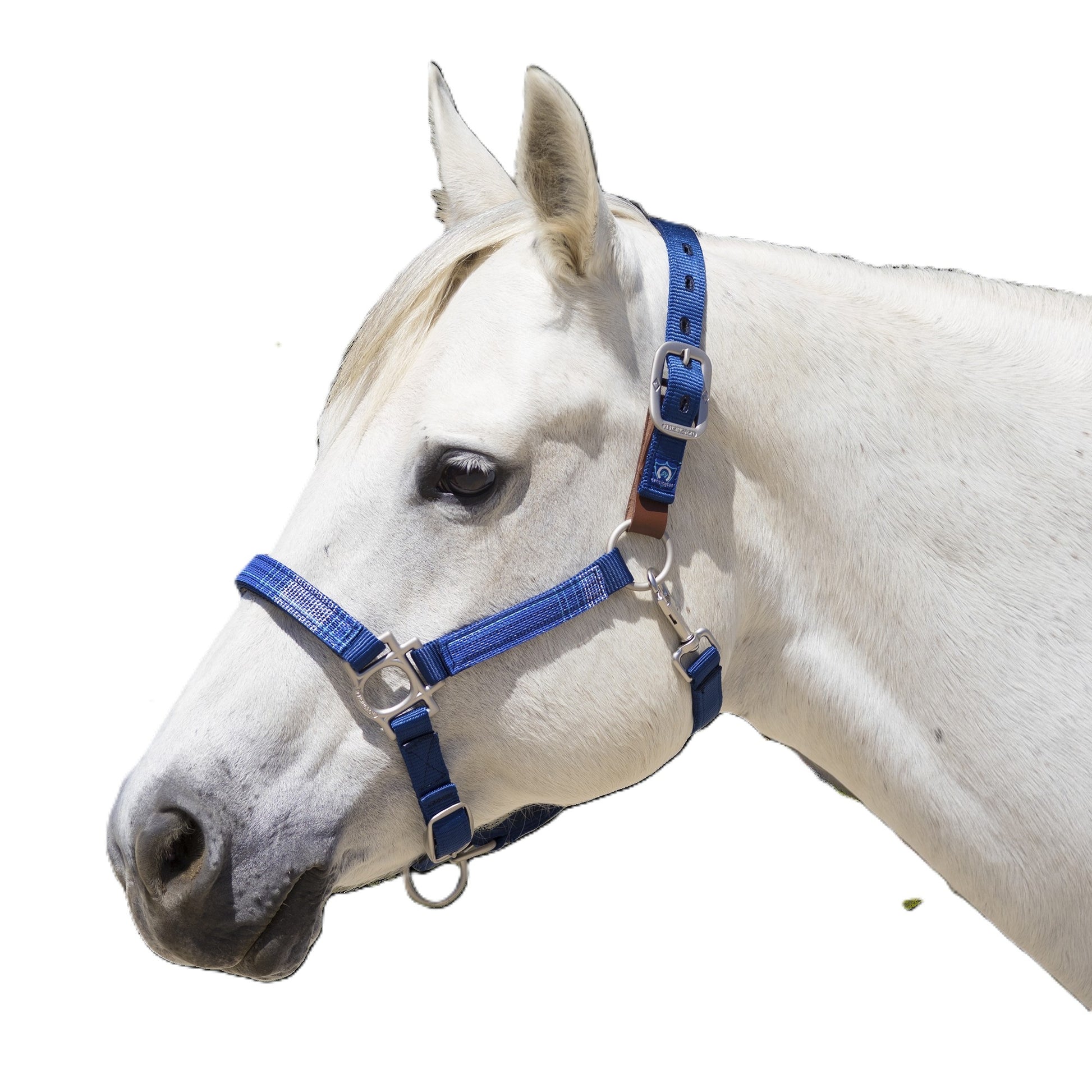 Kensington Reflective Breakaway Nylon Halter