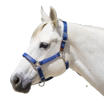 Kensington Reflective Breakaway Nylon Halter