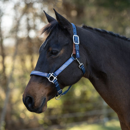 Kensington Reflective Breakaway Nylon Halter