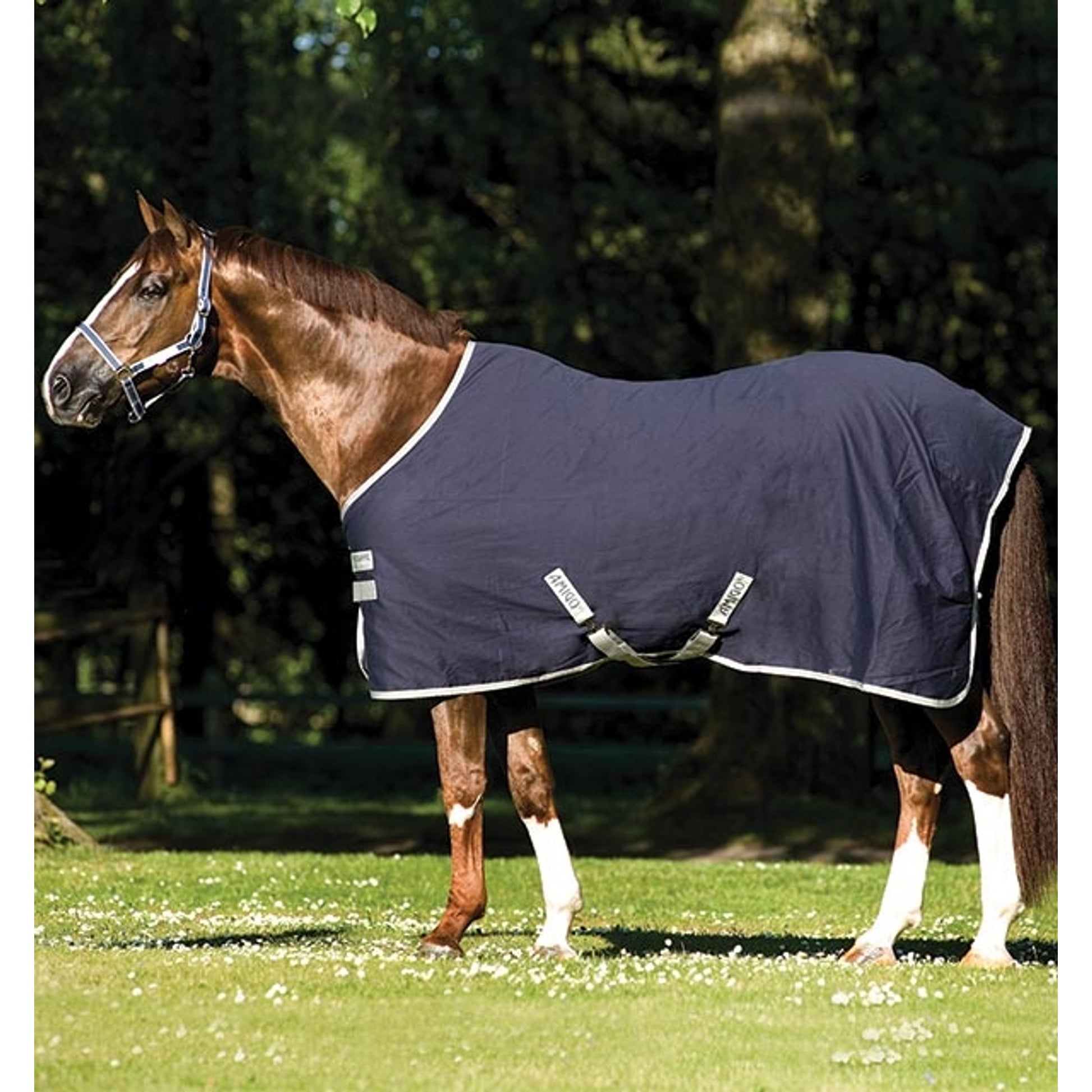 Amigo Pony Stable Sheet (No Fill)