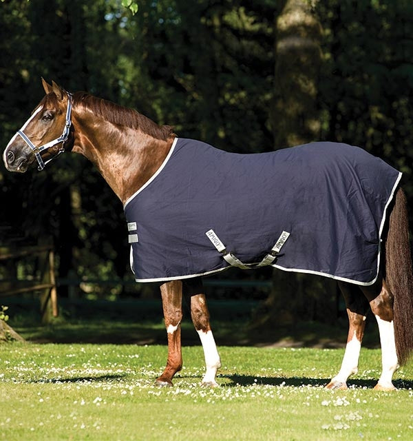 Amigo Pony Stable Sheet (No Fill)