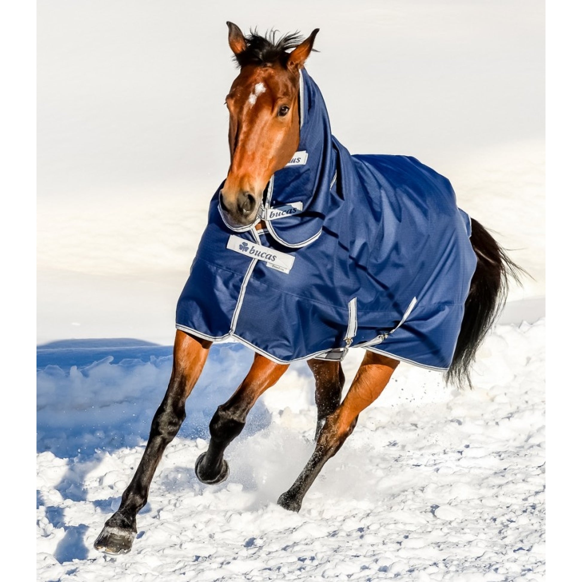 Bucas Freedom Turnout Full Neck - Light