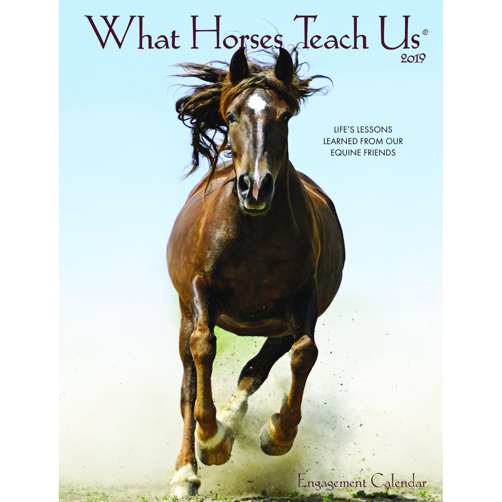 Kelley What Horses Teach Us Planner 2019