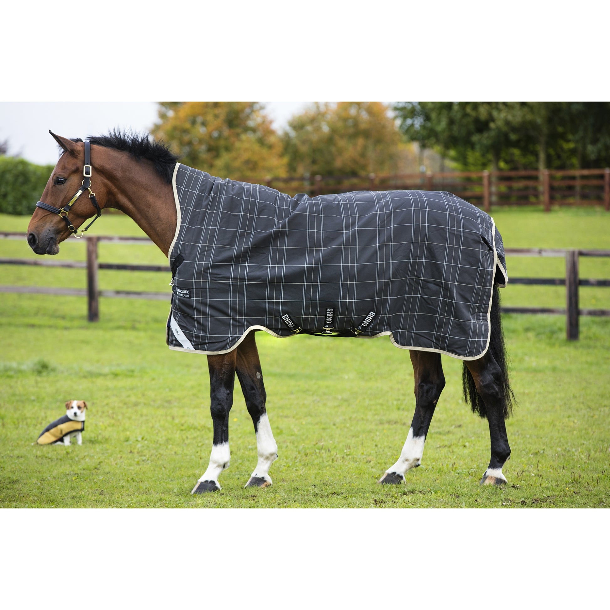 Rhino Wug Vari-Layer Turnout Blanket (250g Medium)