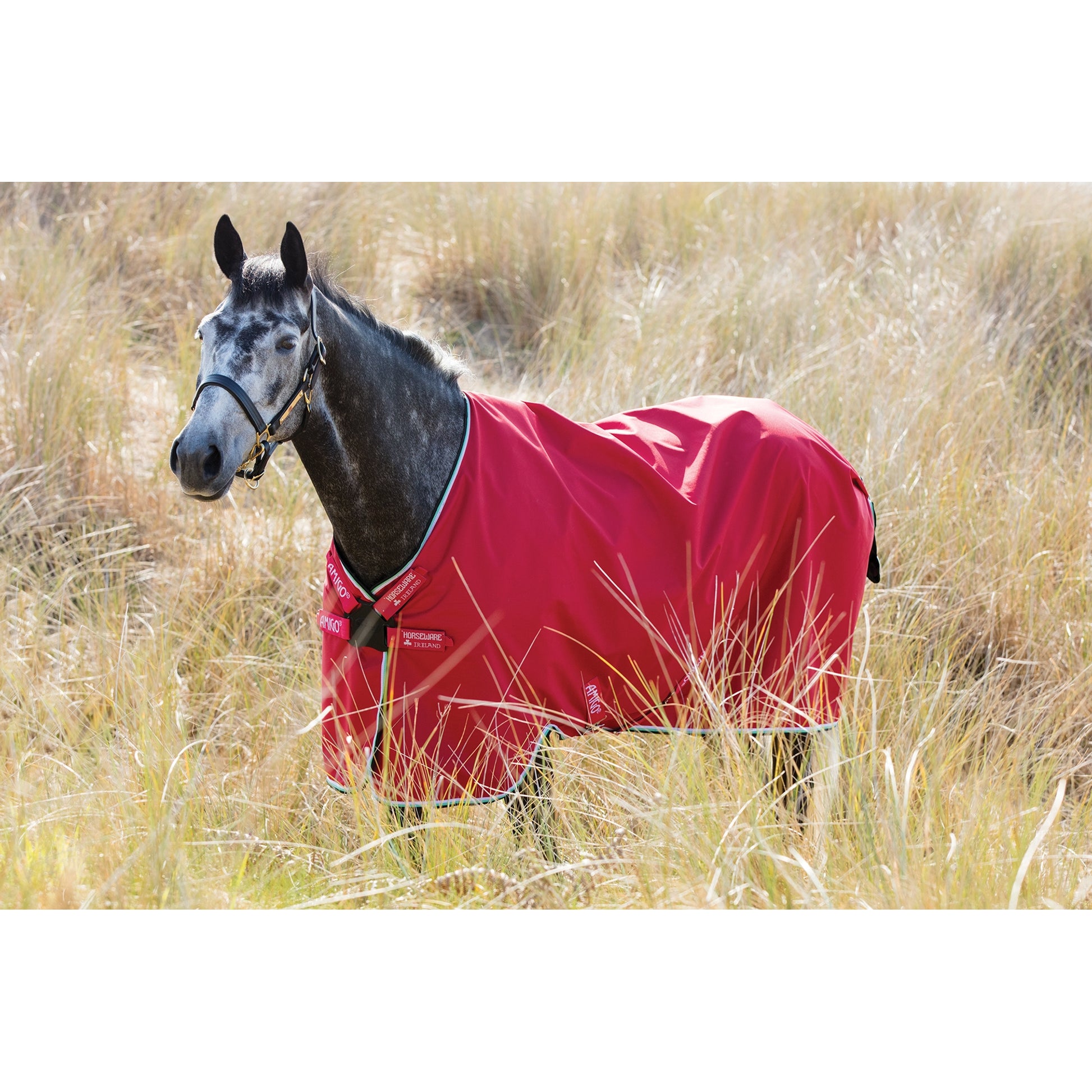 Amigo Hero ACY Disc Closure Net Lining