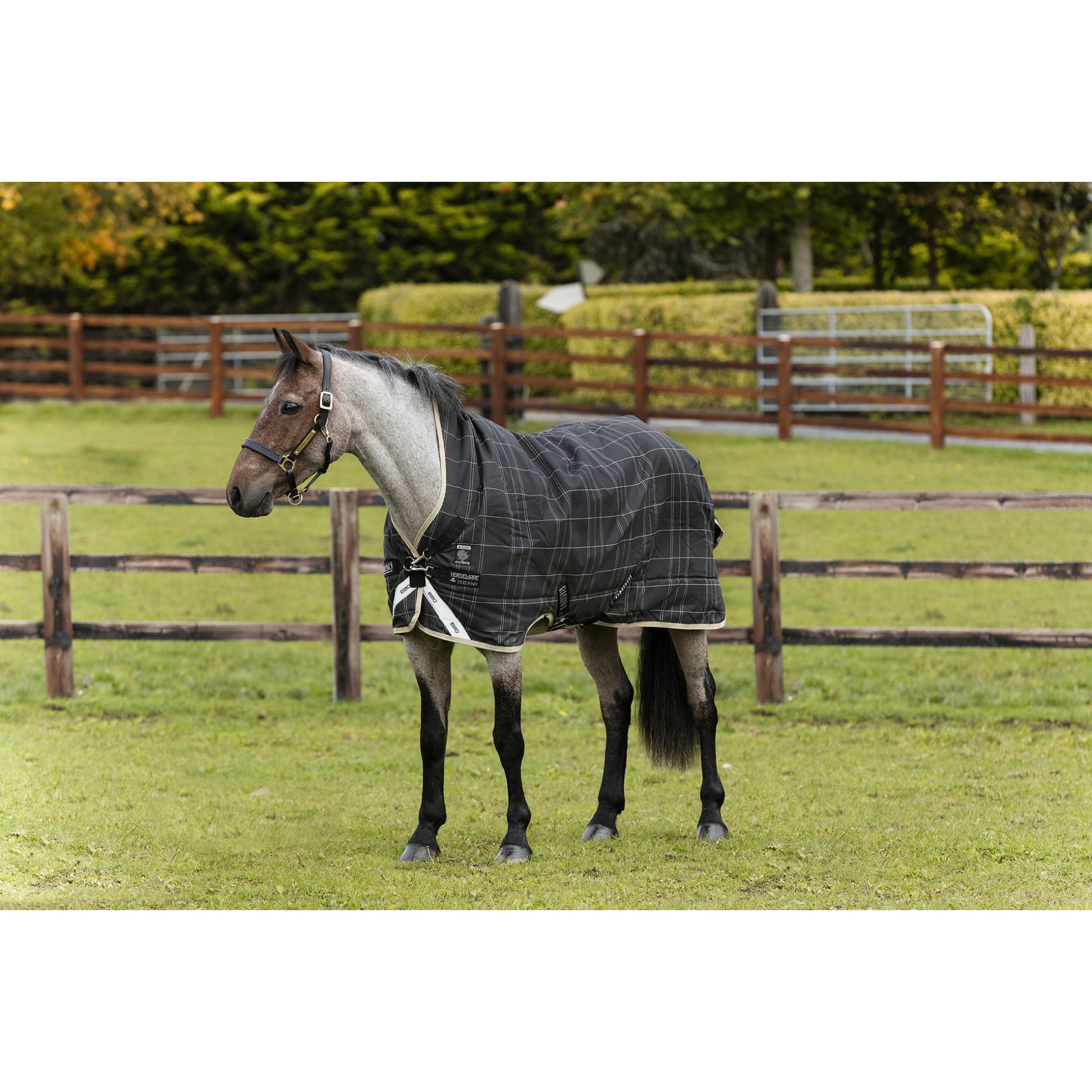 Rhino Pony Wug Vari-Layer Turnout Medium