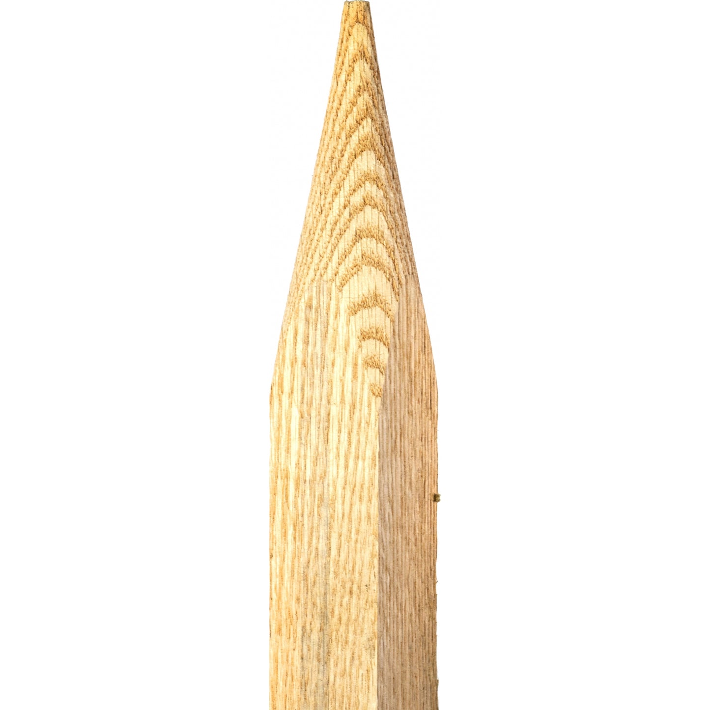 5-966126-1.jpg