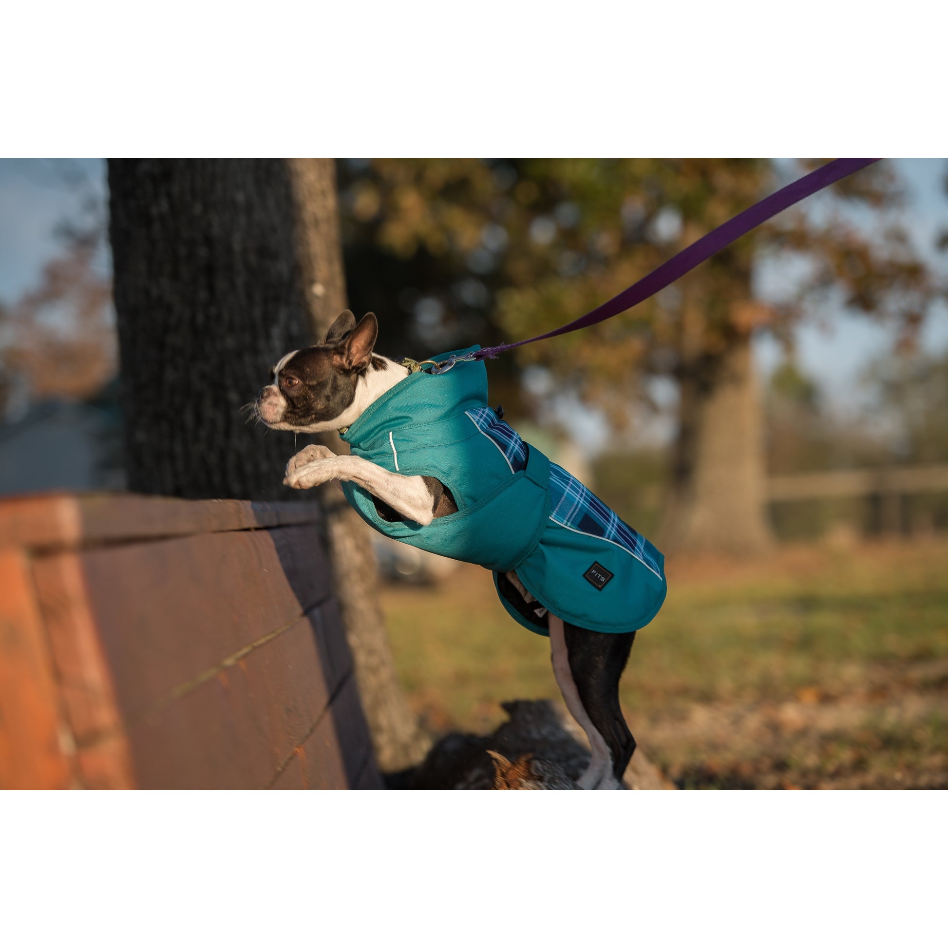 FITS Dog Coat - Blue Plaid/Turquoise