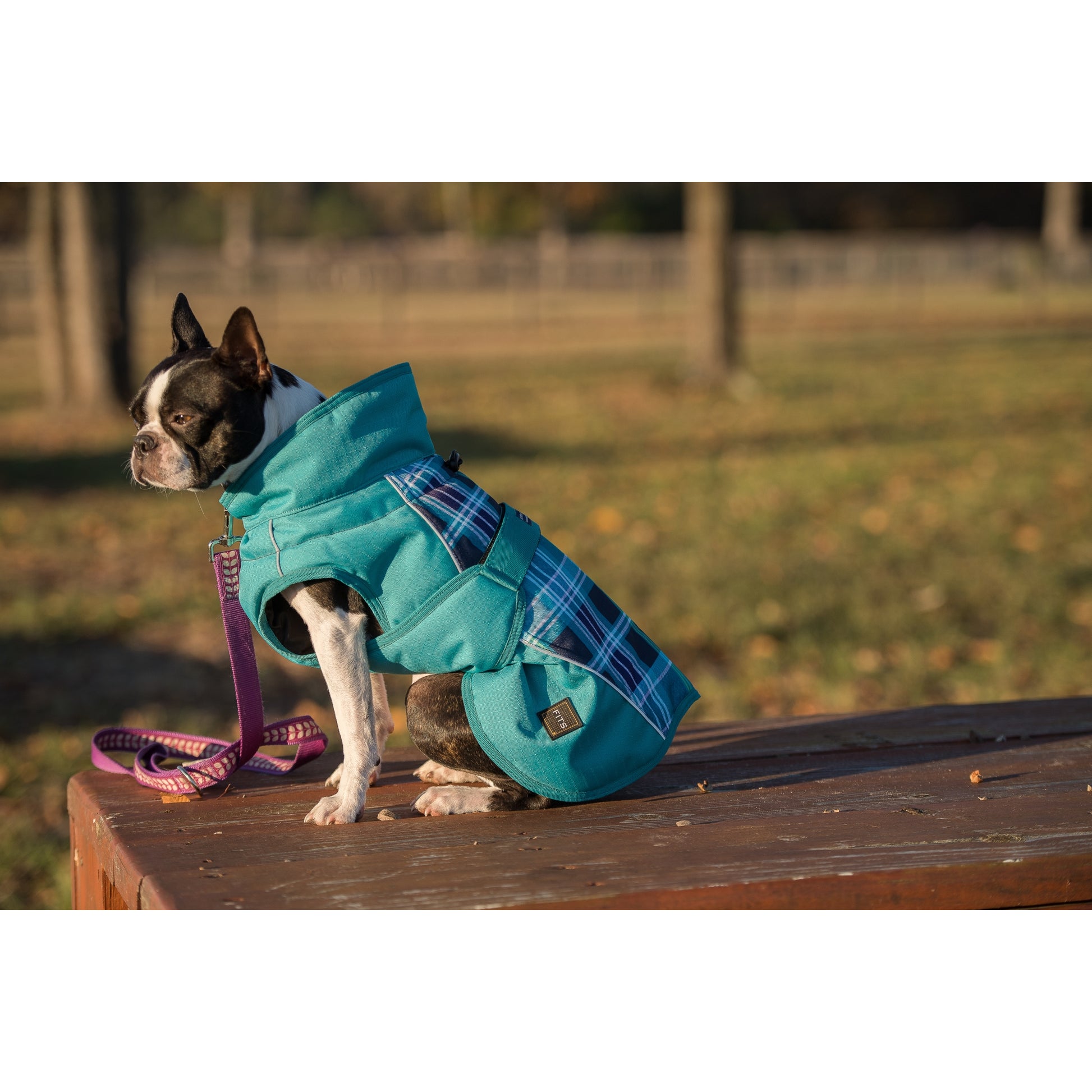 FITS Dog Coat - Blue Plaid/Turquoise
