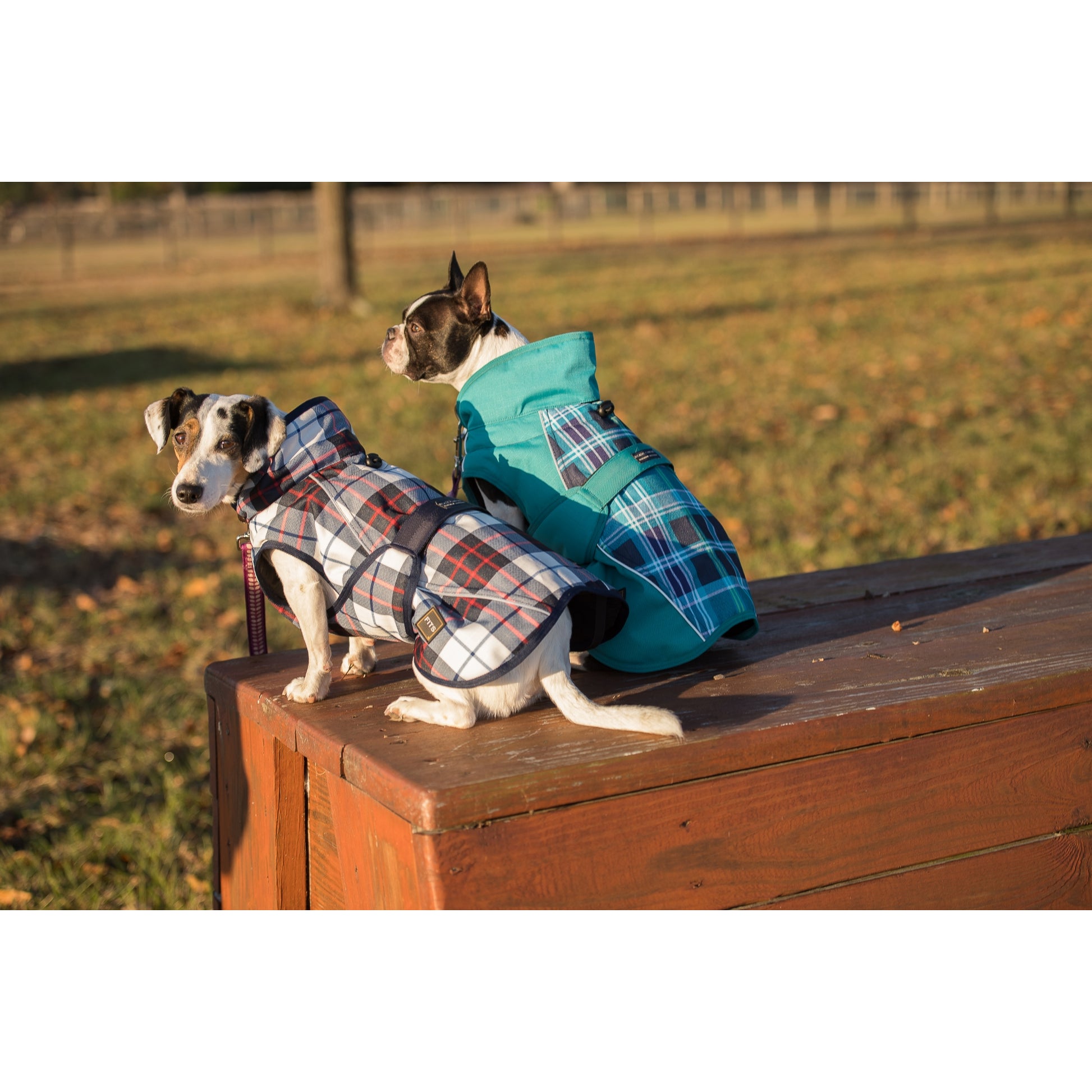 FITS Dog Coat - Navy/Red Plaid