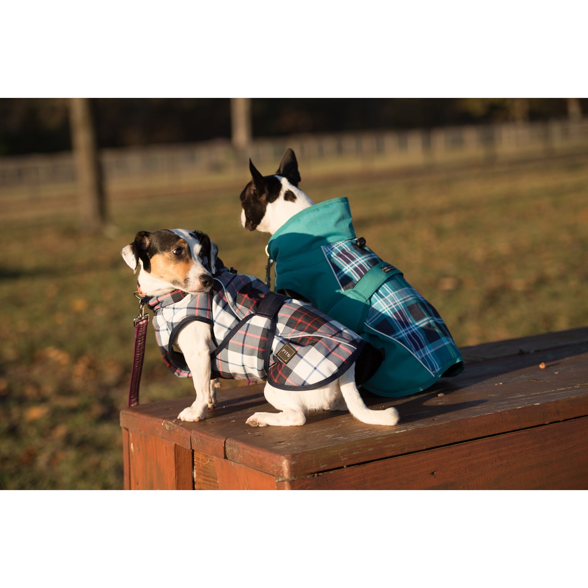 FITS Dog Coat - Navy/Red Plaid