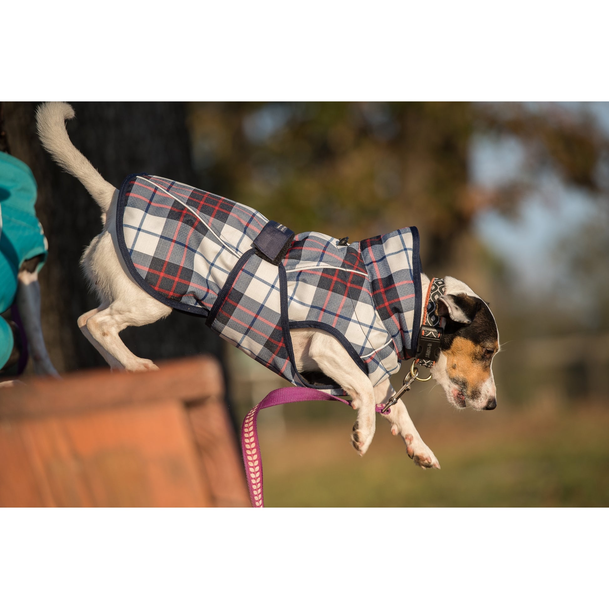 FITS Dog Coat - Navy/Red Plaid