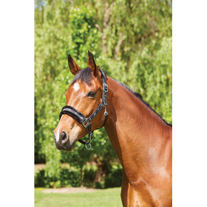 Saxon Fleece Lined Ribbon Headcollar