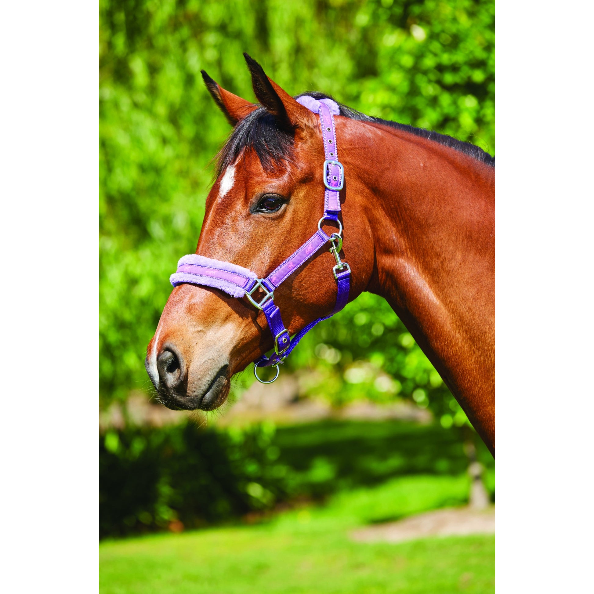 Saxon Fleece Lined Ribbon Headcollar