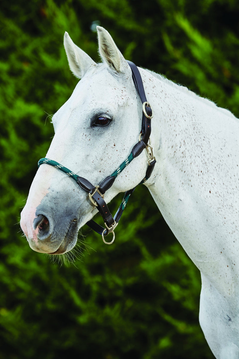 Kincade Leather Rope Headcollar