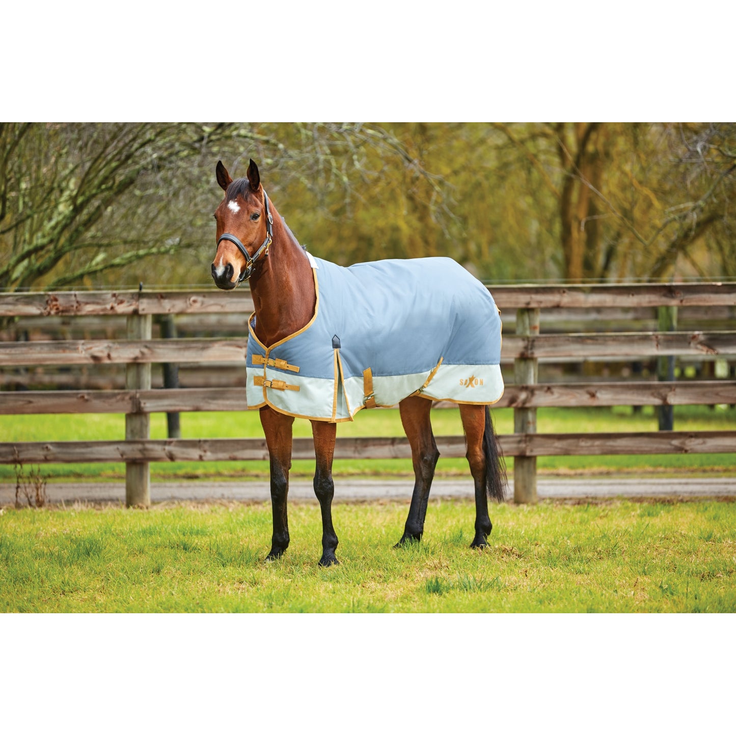 5-972994-greypebblesand.jpg
