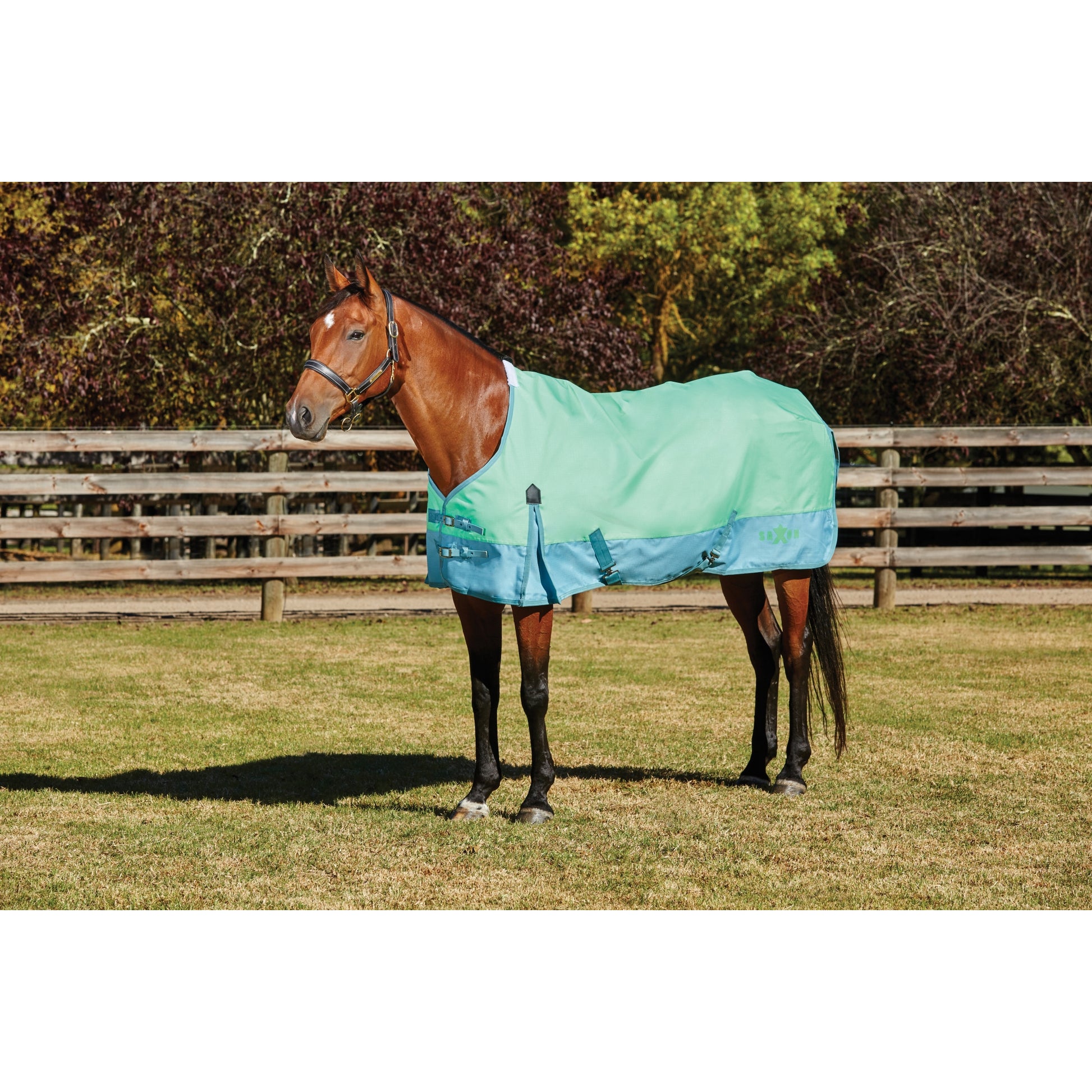 Saxon 1200D Standard Neck Lite Turnout Blanket With Gusset ll