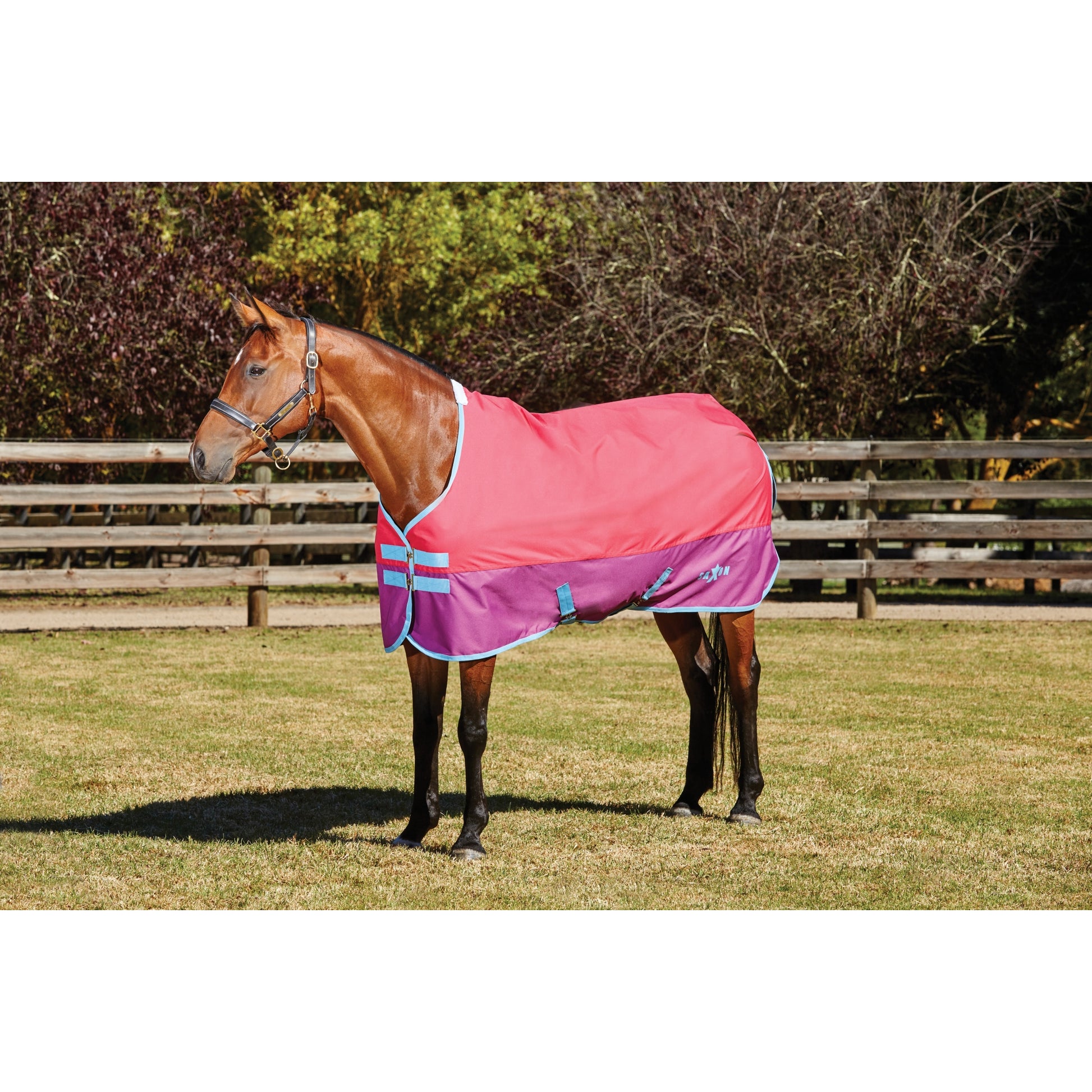 Saxon 600D Standard Neck Lite Turnout Blanket Iv