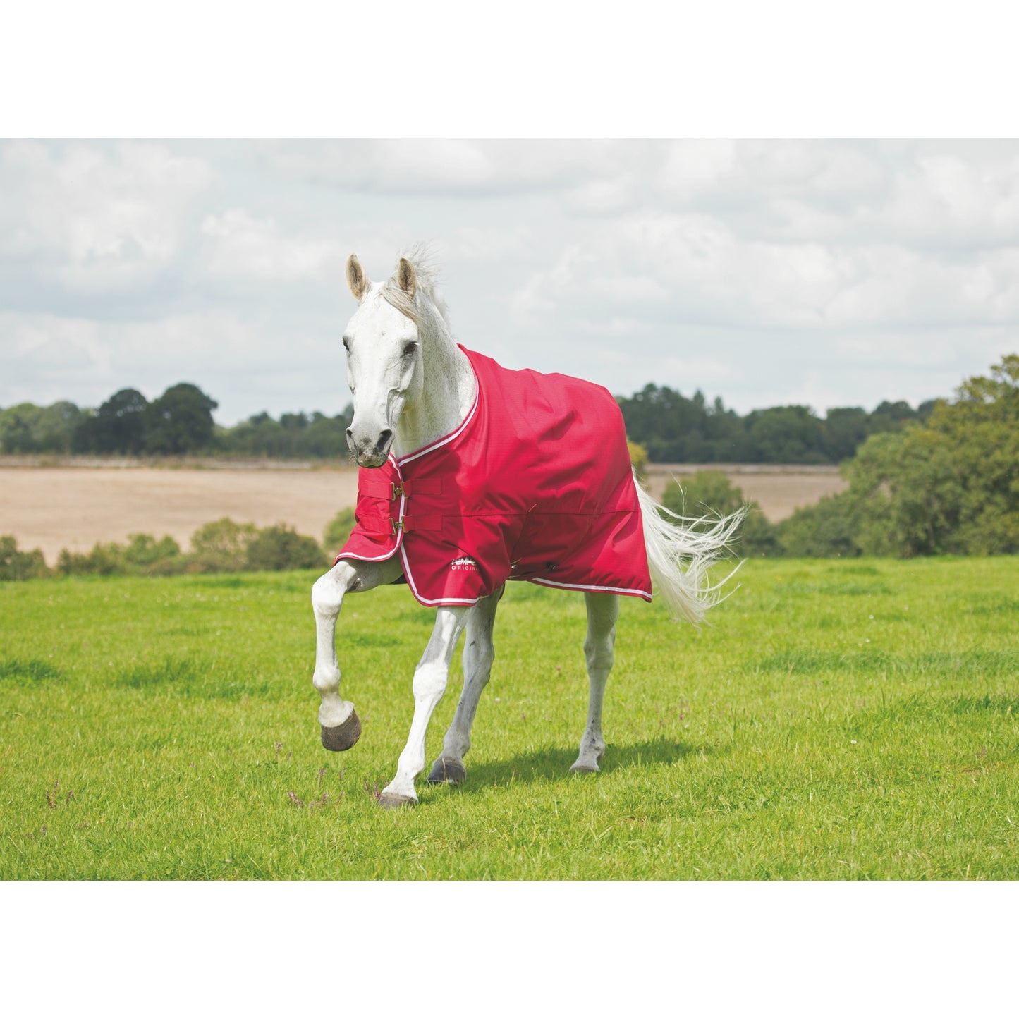 5-976370-redgrey-2.jpg