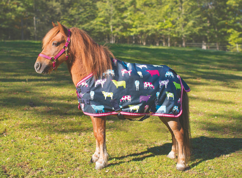 Shires Miniature Winter Highlander 200g Turnout Blanket - Cow Print