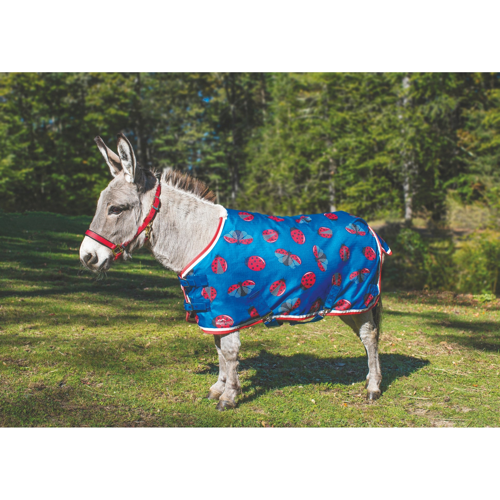 Shires Miniature Winter Highlander 200g Turnout Blanket - Ladybug Print