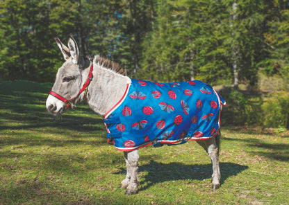 Shires Miniature Winter Highlander 200g Turnout Blanket - Ladybug Print