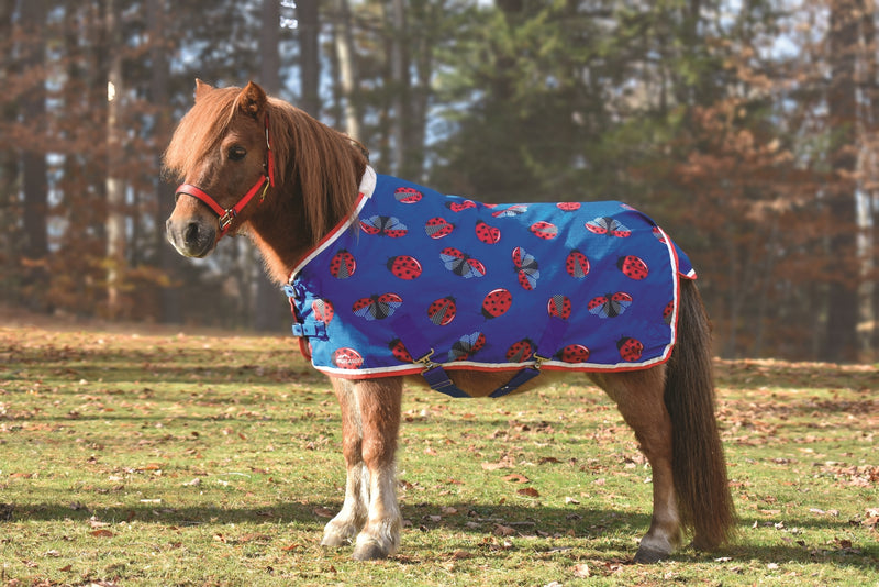 Shires Miniature Winter Highlander 200g Turnout Blanket - Ladybug Print