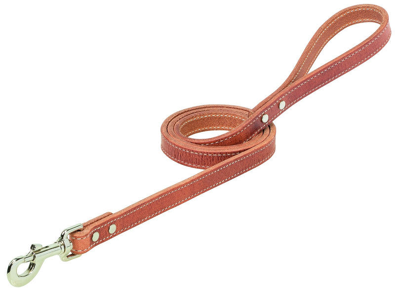 Weaver Snowflake Leash