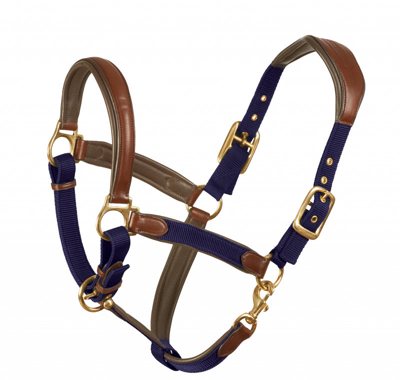 Ovation Luxor Cushion-Flex Halter