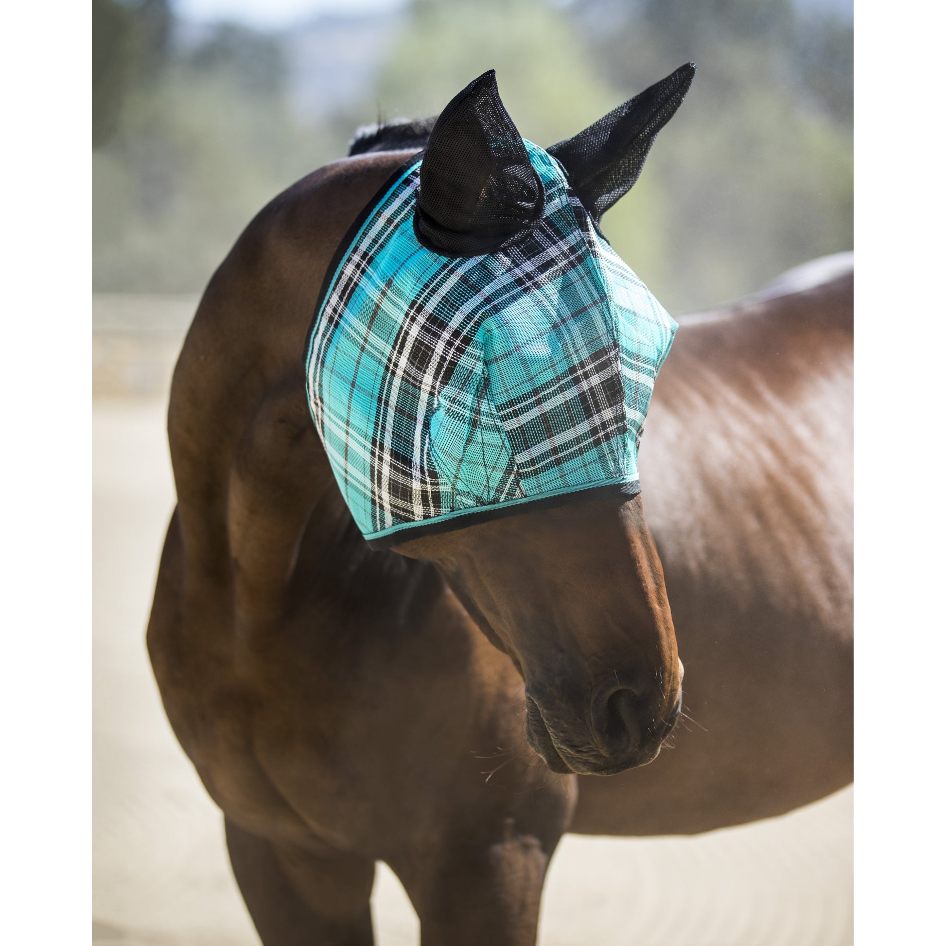 Kensington Fly Mask With Web Trim & Ears
