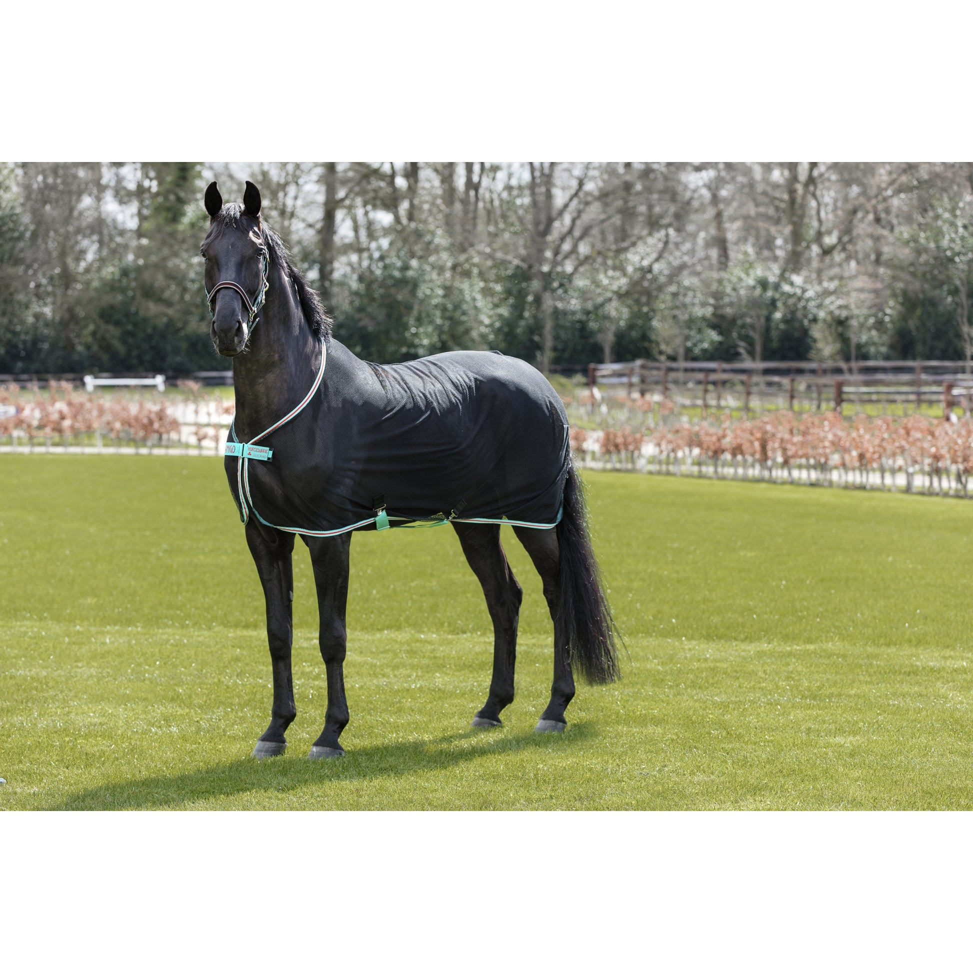 Amigo Net Cooler with Removable Surcingle
