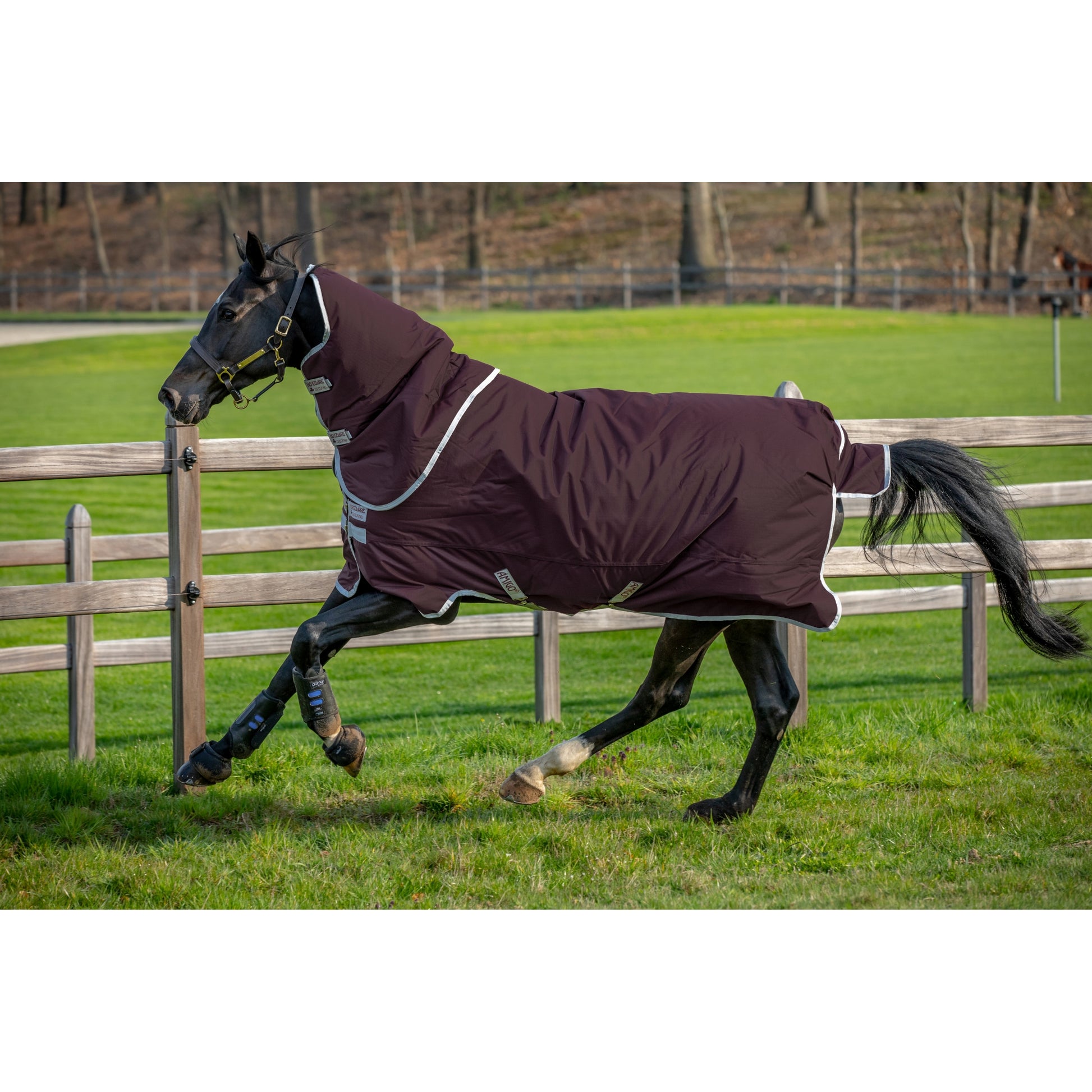 Amigo Hero 600D with Ripstop Turnout Plus (200g Medium)