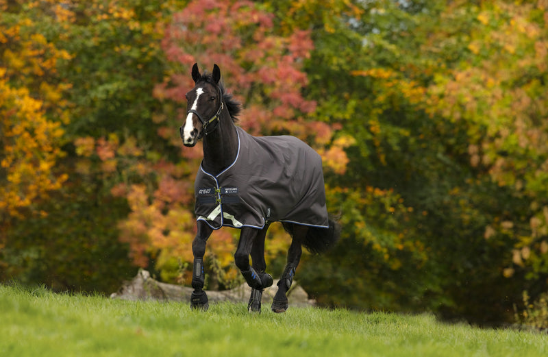 Amigo Bravo 12 Original Pony Turnout Blanket (400g Heavy)