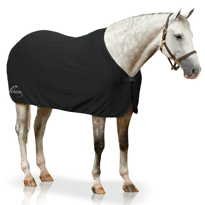 Pessoa Turbo-Dry Cooler