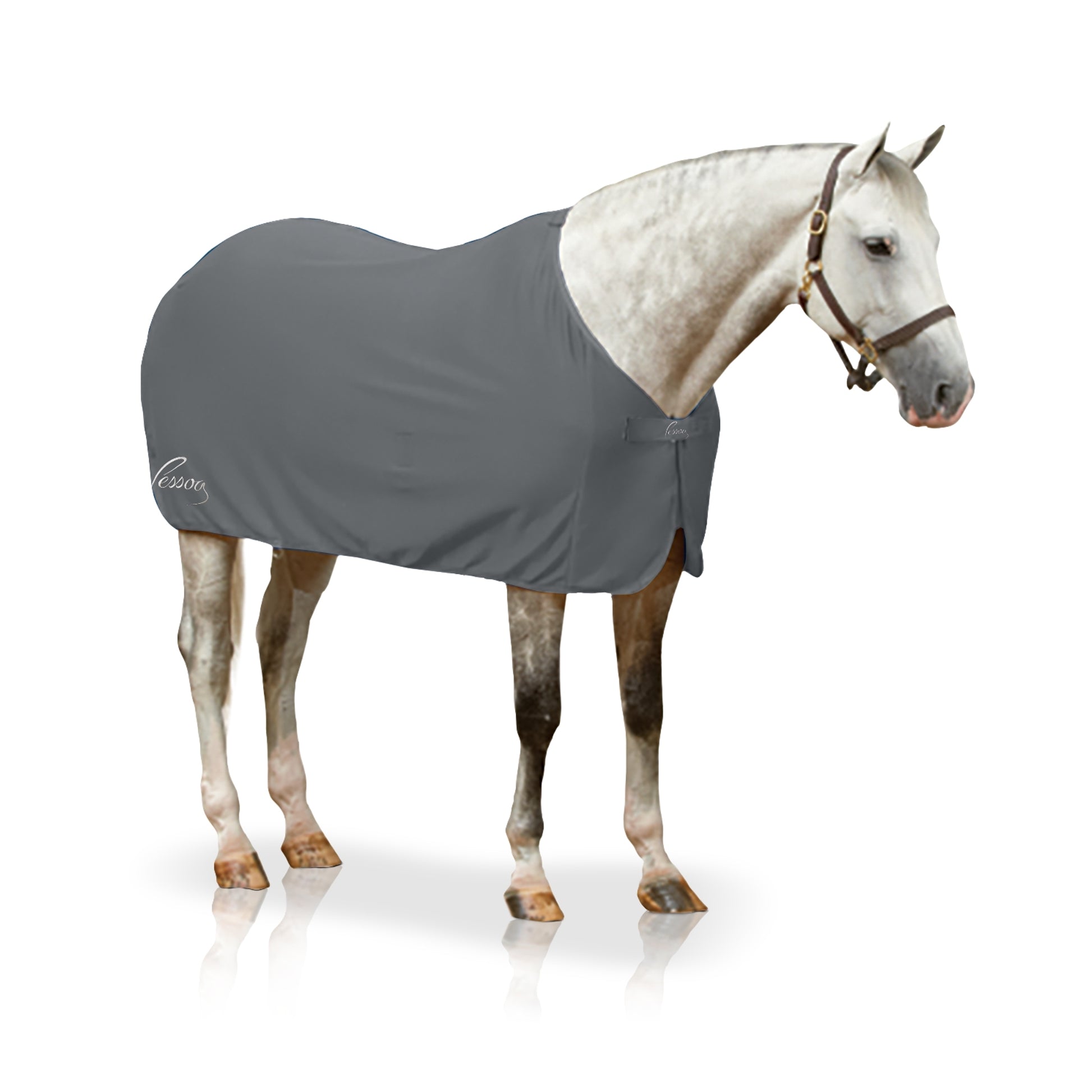 Pessoa Turbo-Dry Cooler