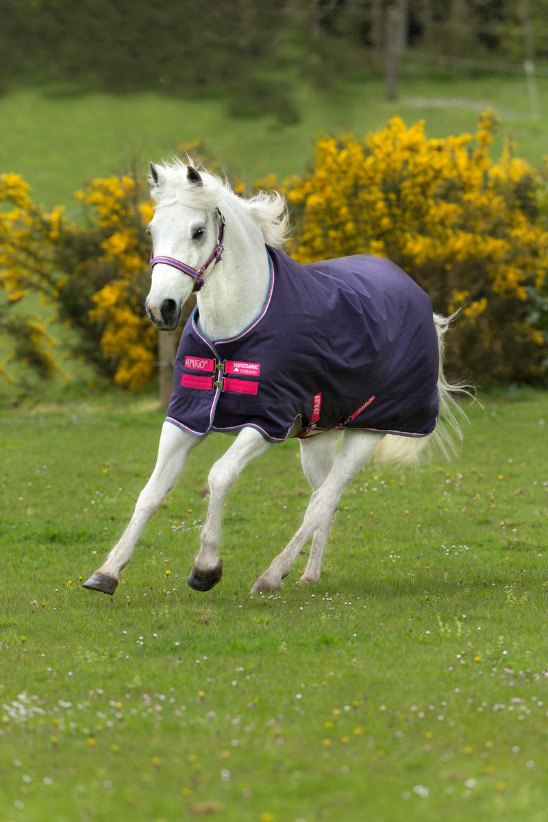 Amigo Hero 900 Pony Turnout - Lite 0g