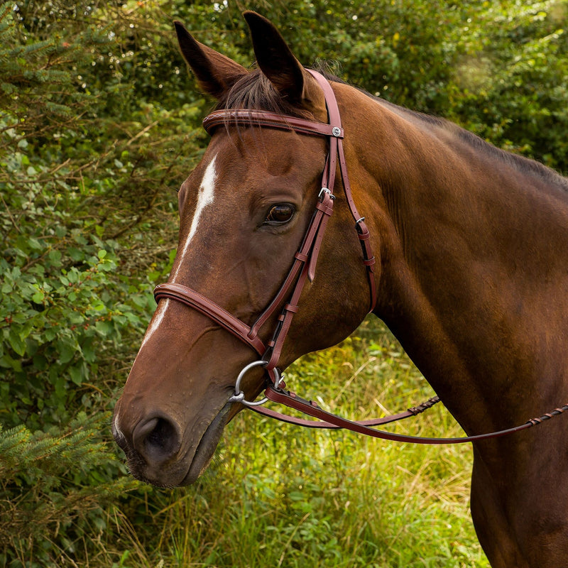 Henri de Rivel Horse Fancy Raised Padded Bridle with Laced Reins Pro Collection