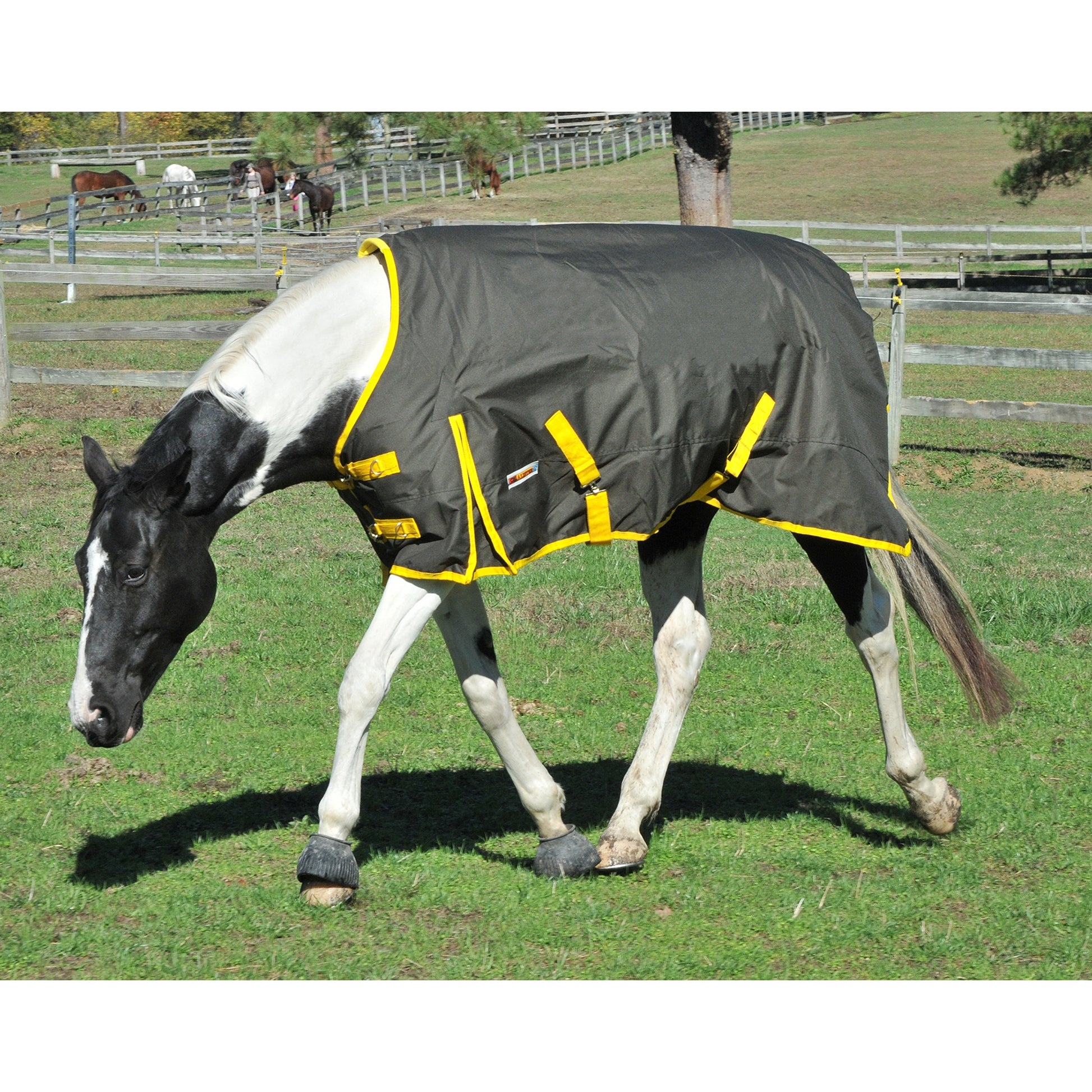 McAlister 600D Waterproof Heavyweight Turnout Blanket